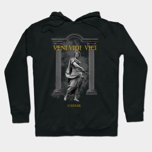 VENI VIDI VICI CAESAR ROMAN ART EXCLUSIVE DESIGN Hoodie